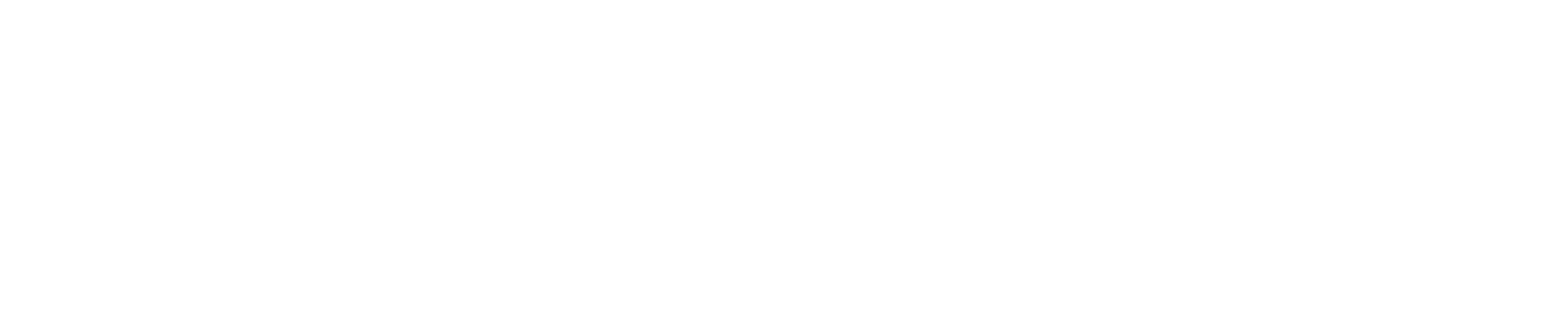 Logo Connect Summit