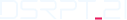 Logo dsrpt21