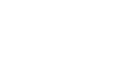 Logo n2020