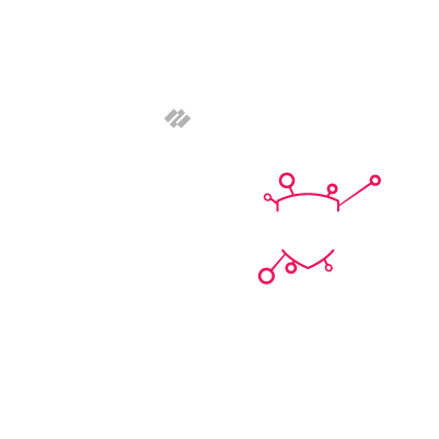 PALO ALTO Total Security