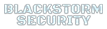 New Paltz Blackstorm Security